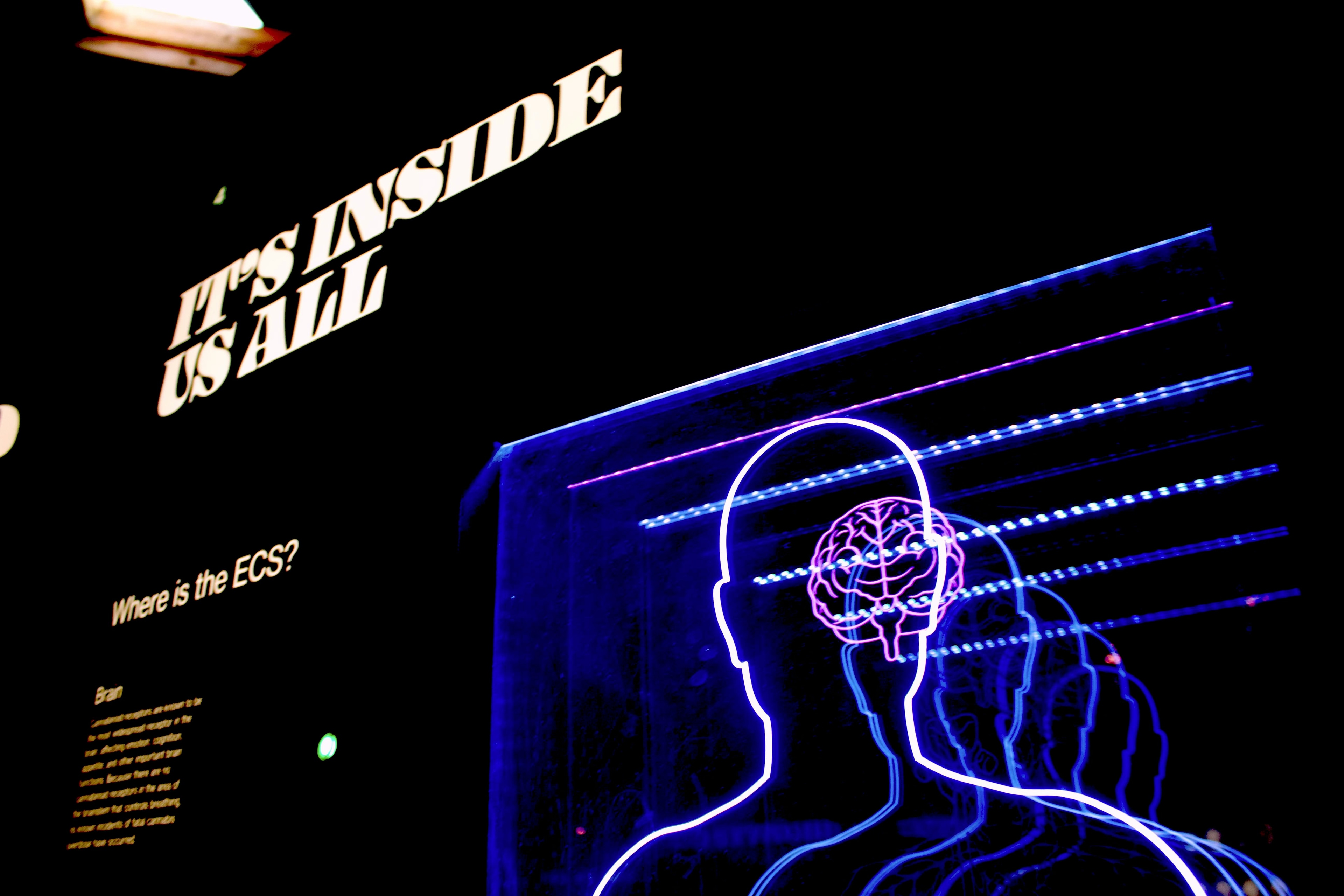 The Psychology of Spending: Why We Buy Things We Don't Need