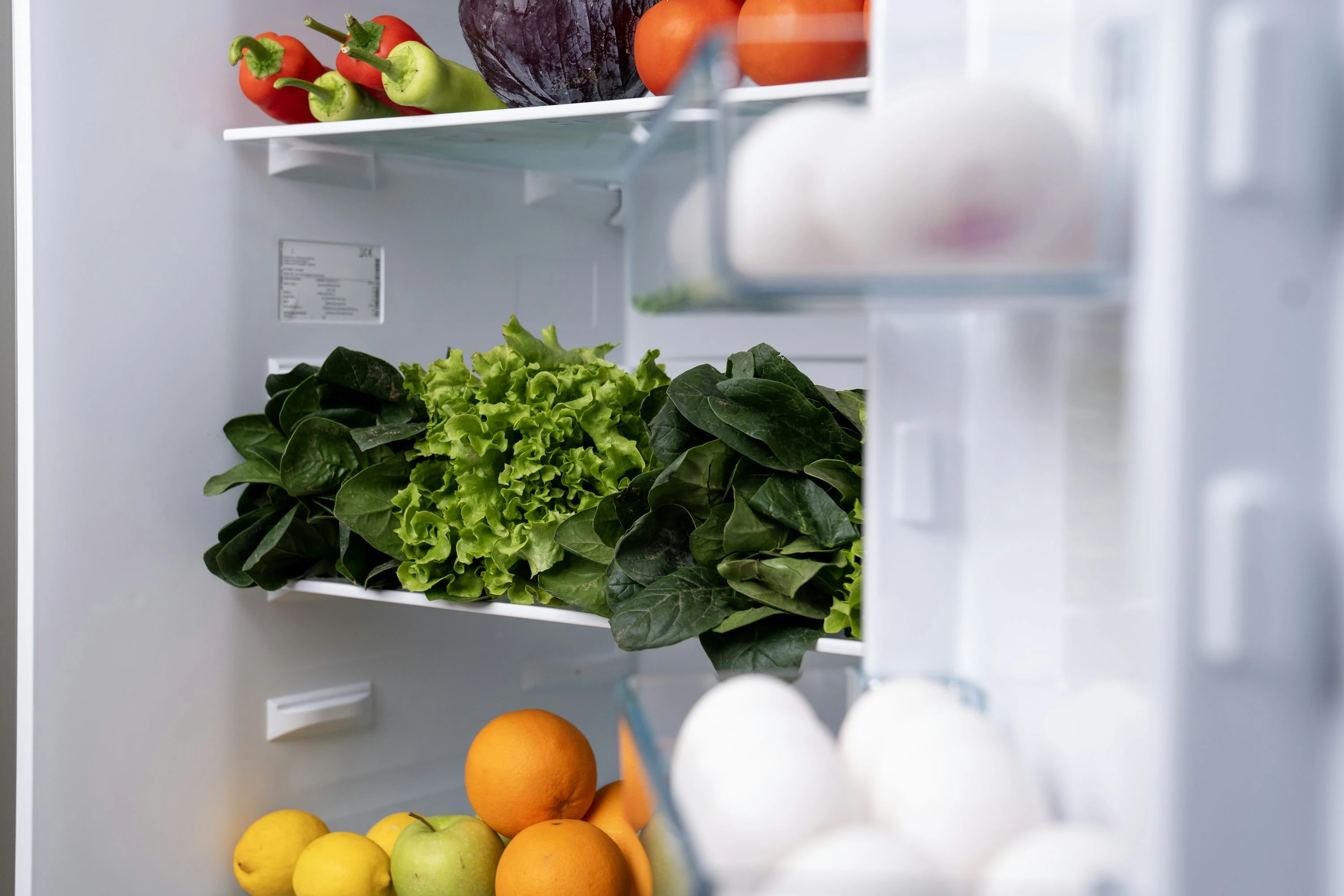 Lower Your Grocery Bill With Fridge Camera Apps